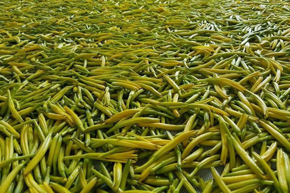 無硫金針菜烘干如何保持品相？不發黑？