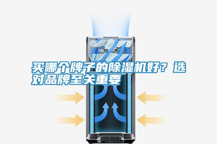 買(mǎi)哪個(gè)牌子的除濕機(jī)好？選對(duì)品牌至關(guān)重要