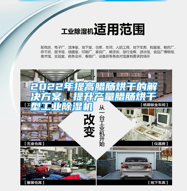2022年提高臘腸烘干的解決方案,提升產量臘腸烘干型工業除濕機
