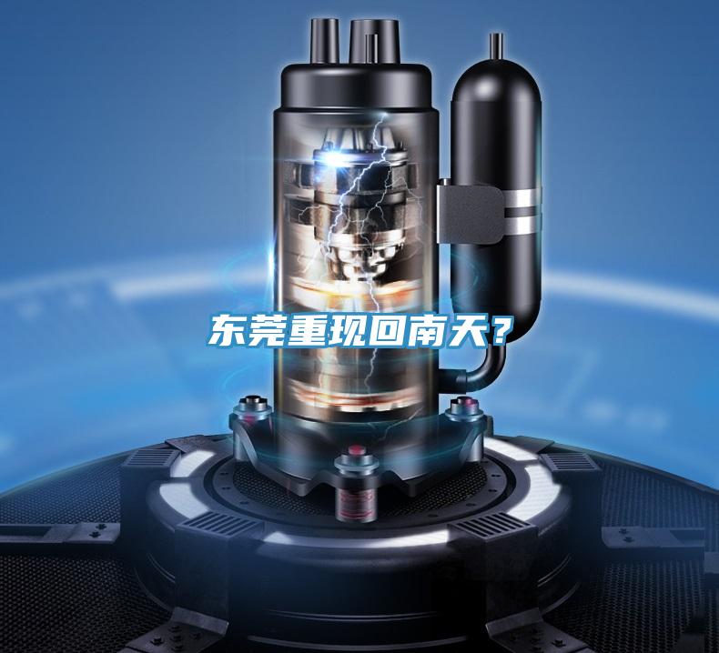 東莞重現回南天?