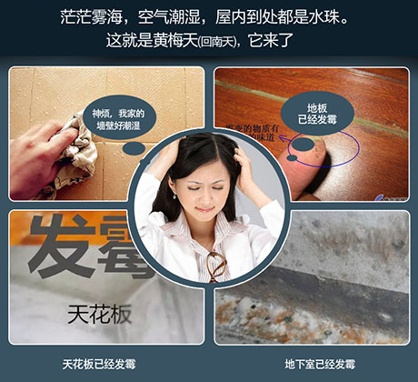 家庭別墅的地下室、衛生間、儲物室等該如何除濕？