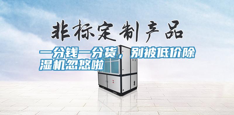 一分錢一分貨，別被低價除濕機忽悠啦