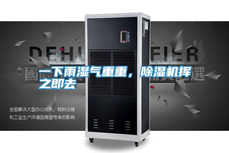 一下雨濕氣重重，除濕機揮之即去