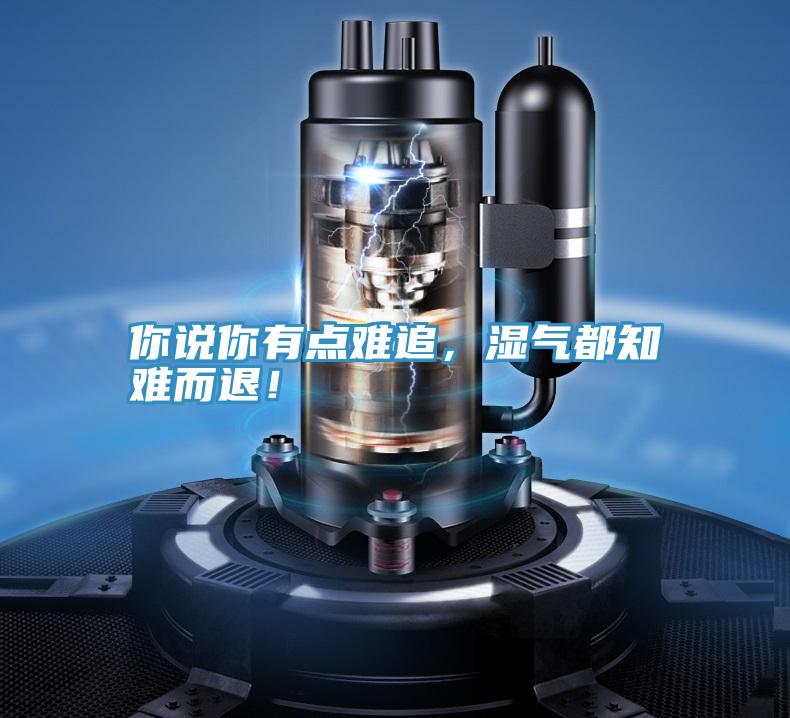 你說你有點(diǎn)難追，濕氣都知難而退！