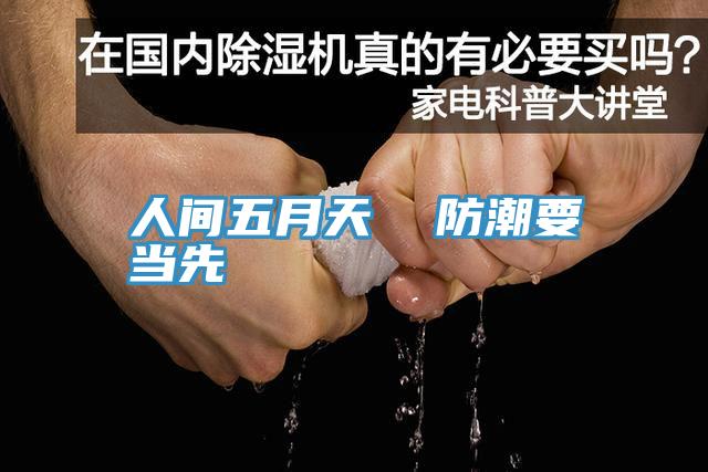 人間五月天 防潮要當先