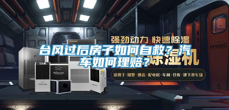 臺風過后房子如何自救？汽車如何理賠？