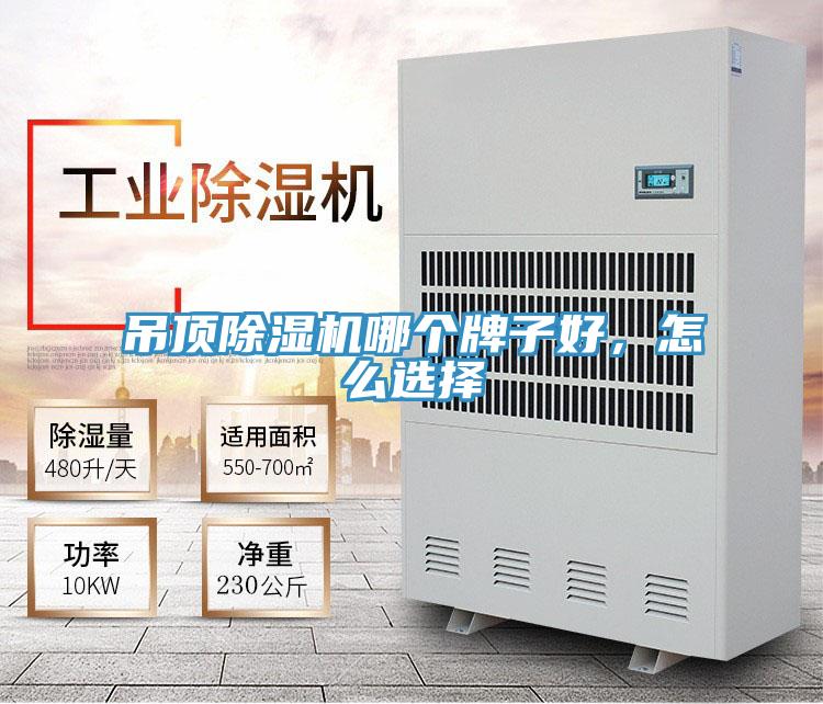 吊頂除濕機哪個牌子好,怎么選擇