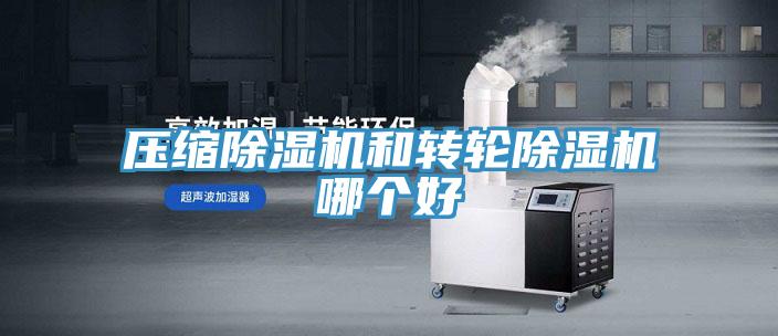 壓縮除濕機和轉輪除濕機哪個好
