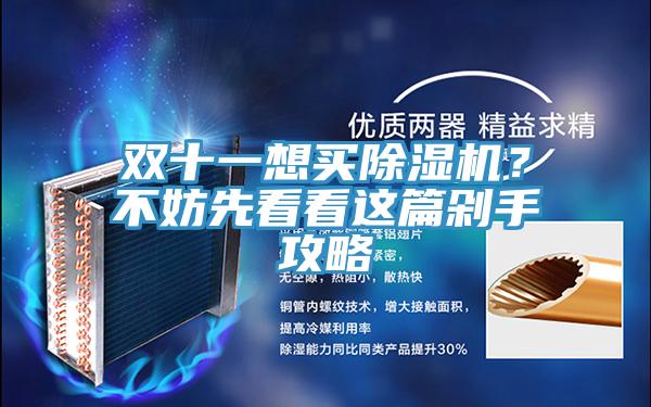 雙十一想買除濕機？不妨先看看這篇剁手攻略