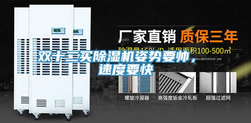 雙十二買(mǎi)除濕機(jī)姿勢(shì)要帥， 速度要快