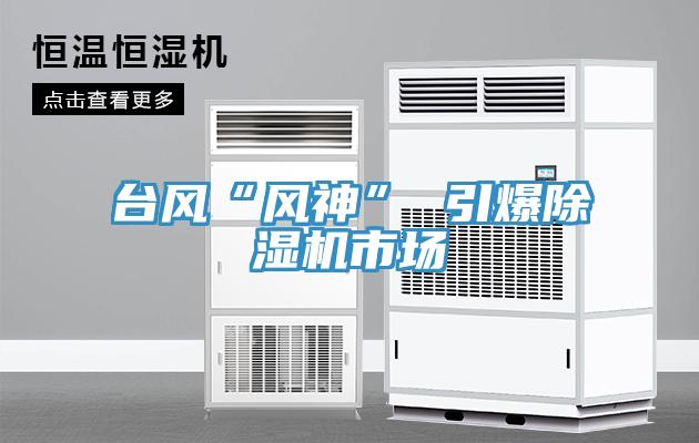 臺風“風神” 引爆除濕機市場