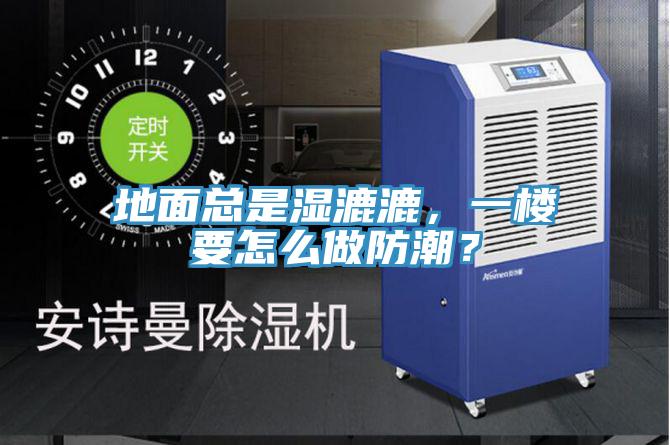 地面總是濕漉漉,一樓要怎么做防潮?