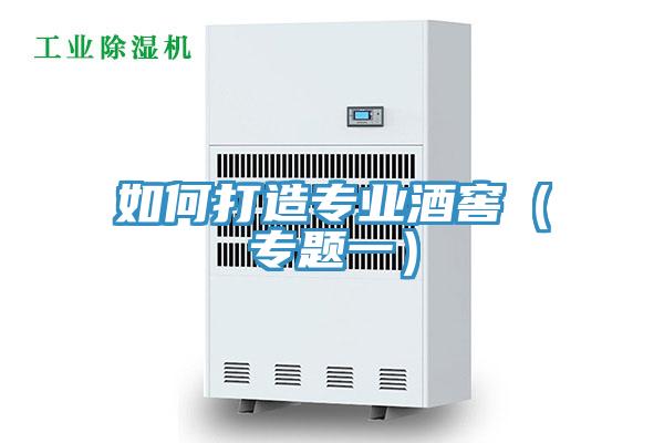 如何打造專業酒窖（專題一）