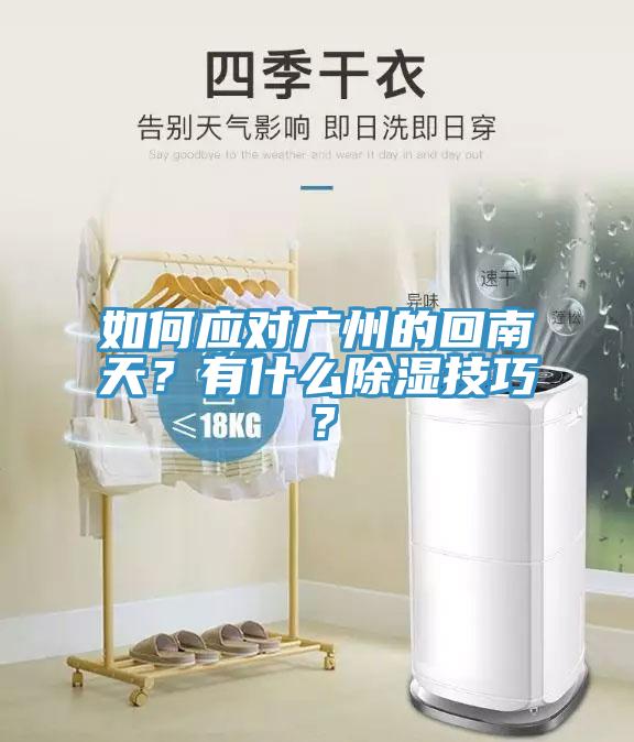 如何應對廣州的回南天？有什么除濕技巧？