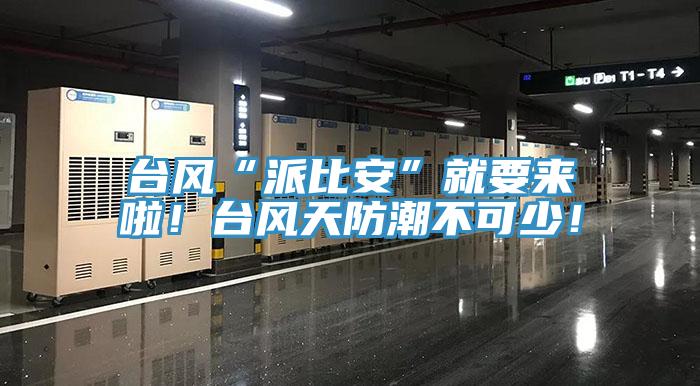 臺風“派比安”就要來啦！臺風天防潮不可少！