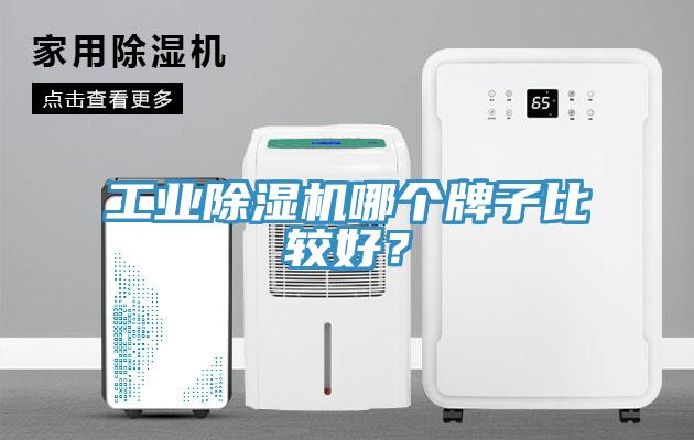 工業除濕機哪個牌子比較好?