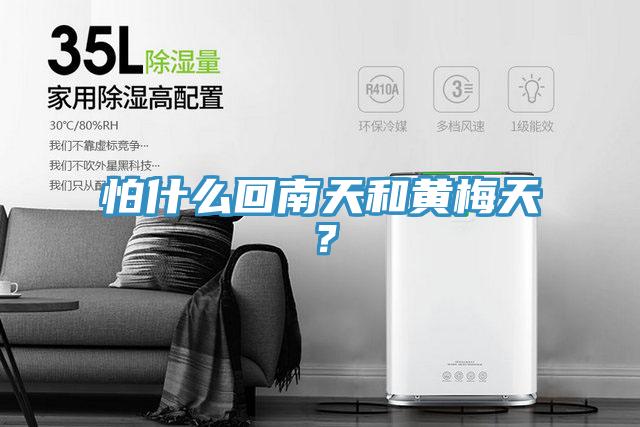 怕什么回南天和黃梅天?