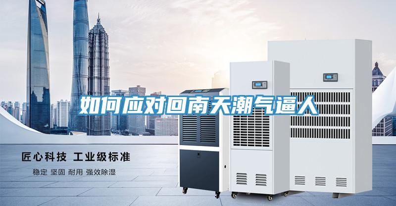 如何應(yīng)對回南天潮氣逼人
