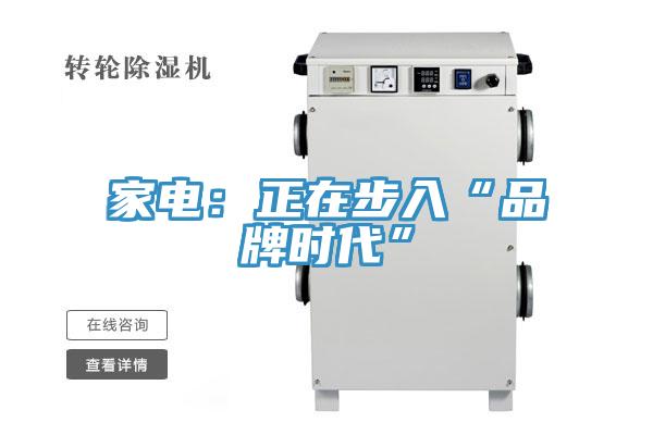 家電:正在步入“品牌時代”