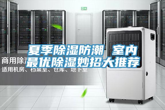 夏季除濕防潮 室內最優除濕妙招大推薦