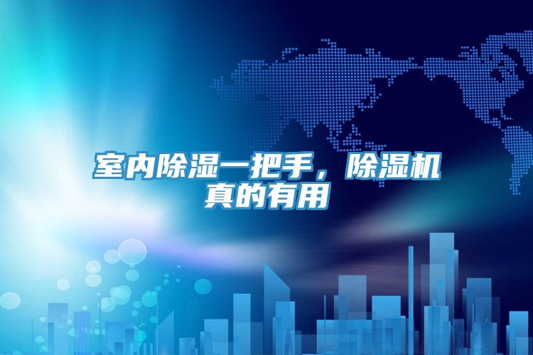 室內(nèi)除濕一把手，除濕機(jī)真的有用