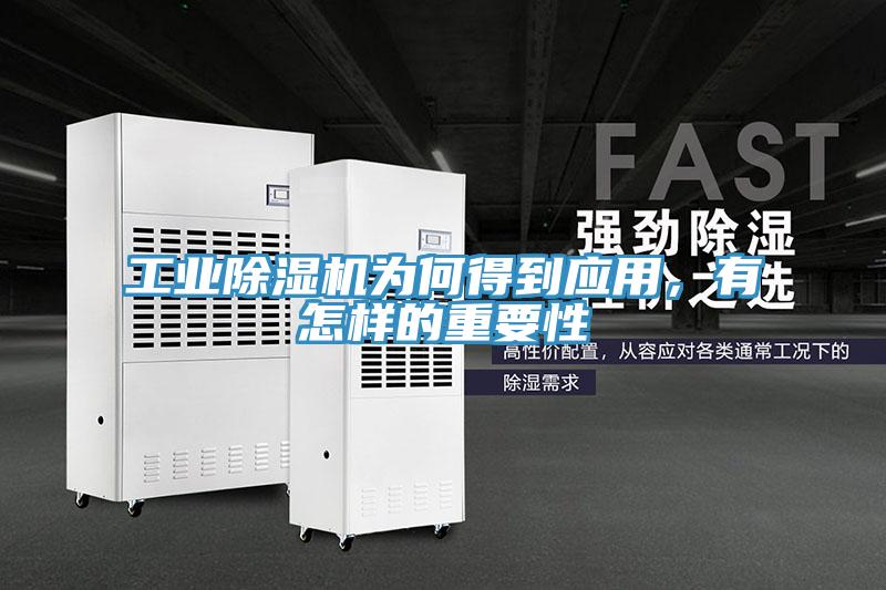 工業除濕機為何得到應用，有怎樣的重要性