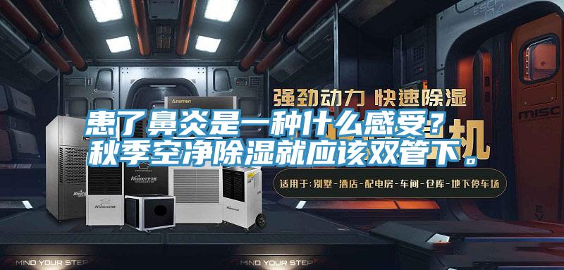 患了鼻炎是一種什么感受？ 秋季空凈除濕就應該雙管下。