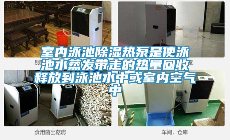 室內泳池除濕熱泵是使泳池水蒸發帶走的熱量回收釋放到泳池水中或室內空氣中
