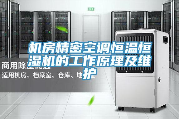 機(jī)房精密空調(diào)恒溫恒濕機(jī)的工作原理及維護(hù)