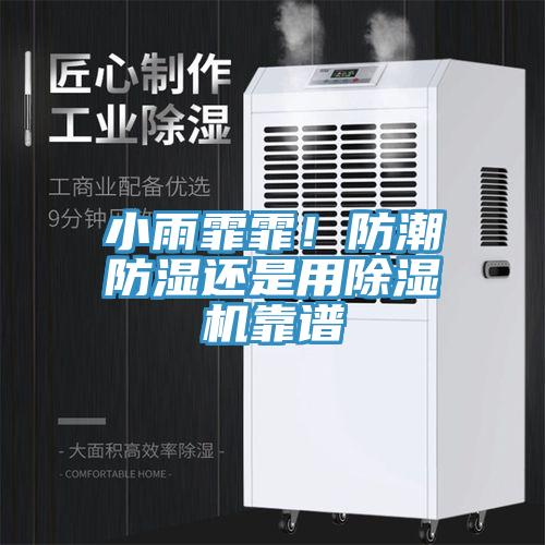 小雨霏霏！防潮防濕還是用除濕機靠譜