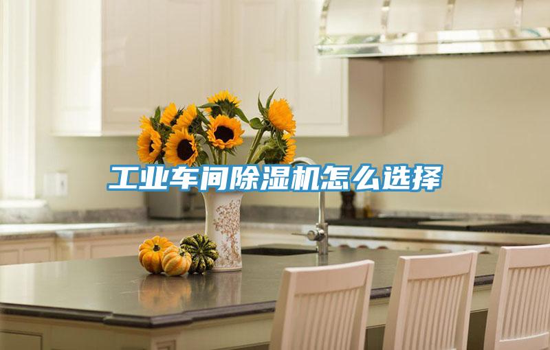 工業(yè)車(chē)間除濕機(jī)怎么選擇