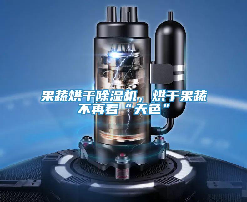 果蔬烘干除濕機，烘干果蔬不再看“天色”