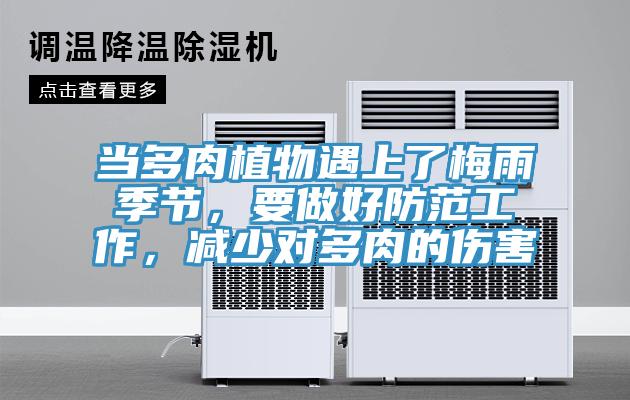 當多肉植物遇上了梅雨季節，要做好防范工作，減少對多肉的傷害