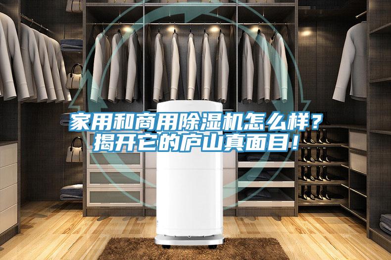 家用和商用除濕機(jī)怎么樣？揭開它的廬山真面目！