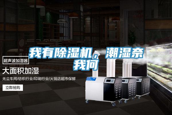 我有除濕機(jī)，潮濕奈我何