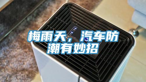 梅雨天，汽車防潮有妙招