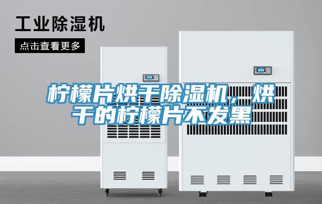 檸檬片烘干除濕機，烘干的檸檬片不發黑