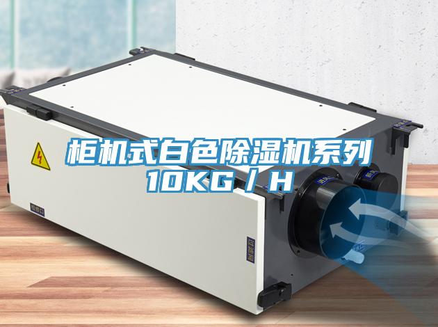 柜機式白色除濕機系列10KG／H