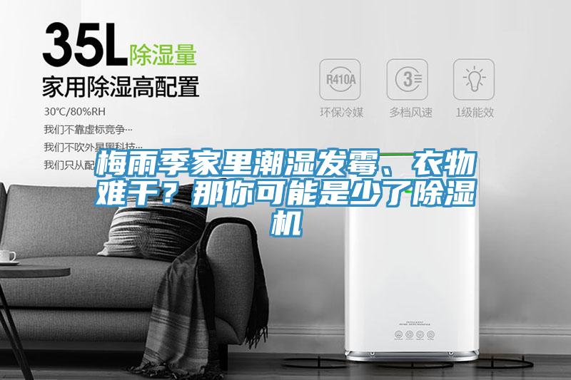 梅雨季家里潮濕發(fā)霉、衣物難干?那你可能是少了除濕機