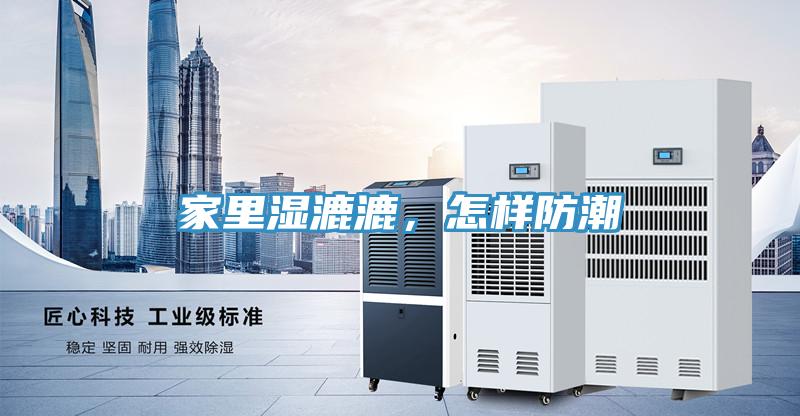 家里濕漉漉，怎樣防潮