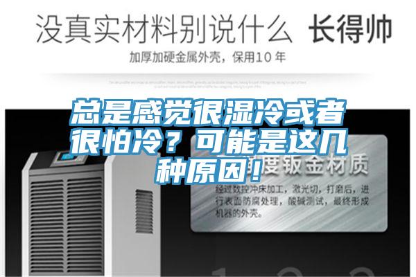 總是感覺很濕冷或者很怕冷？可能是這幾種原因！