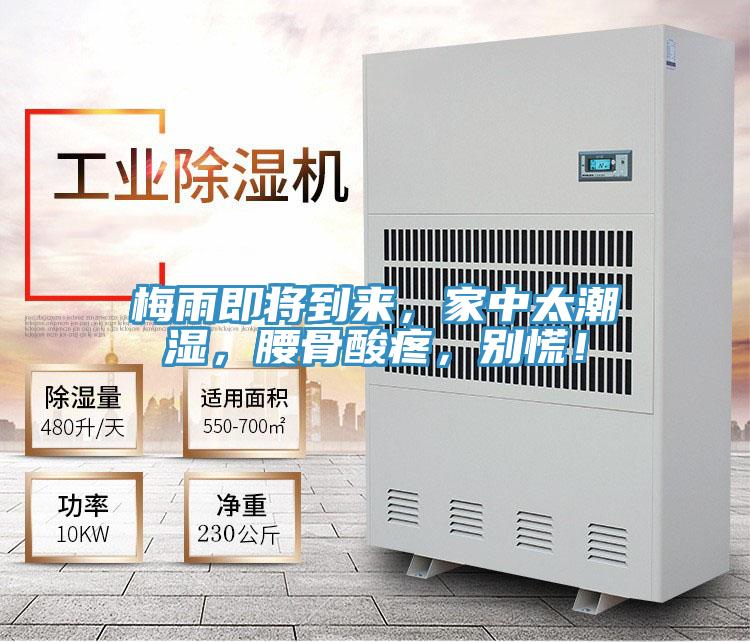 梅雨即將到來，家中太潮濕，腰骨酸疼，別慌！