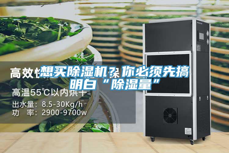 想買除濕機？你必須先搞明白“除濕量”