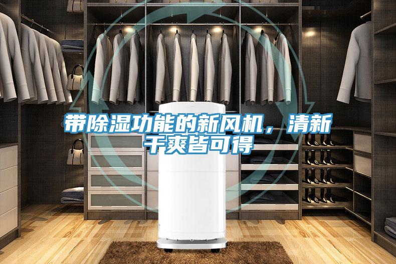 帶除濕功能的新風(fēng)機(jī)，清新干爽皆可得