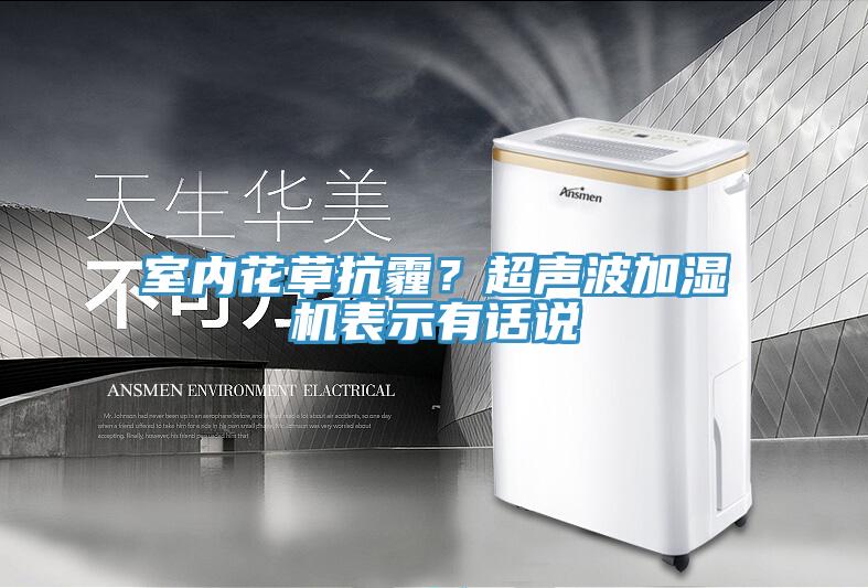室內(nèi)花草抗霾？超聲波加濕機(jī)表示有話說