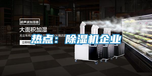 熱點：除濕機企業
