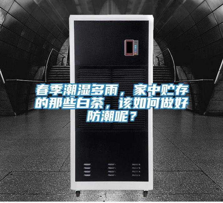 春季潮濕多雨，家中貯存的那些白茶，該如何做好防潮呢？