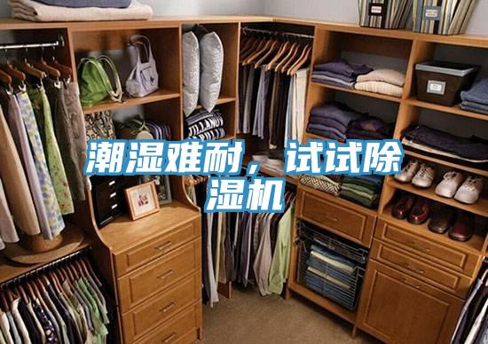 潮濕難耐，試試除濕機