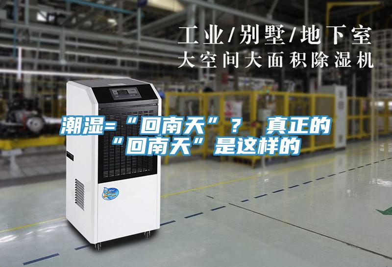 潮濕=“回南天”？ 真正的“回南天”是這樣的