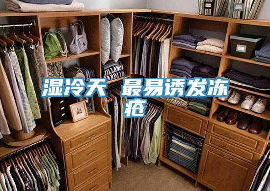 濕冷天 最易誘發凍瘡